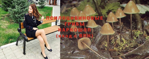 марки nbome Новодвинск