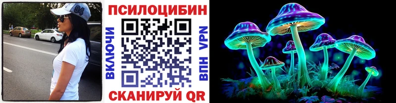 Псилоцибиновые грибы Cubensis  Сортавала 